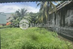 Bán đất mặt tiền giá rẻ thạnh xuân 52, quận 12 727m² full thổ chỉ 27 tỷ