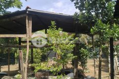 Cần bán đất thổ cư diên tândiên khánhkhánh hoà