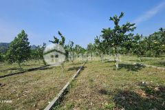 Sổ sẵn giá chỉ từ 2xx triệulô cơ hội đầu tư siêu hot tai bao hiêu, hoa binh