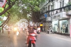 Cho thuê nha măt phô đương hoang hoa tham, tây hồ, co via he