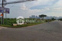 Bán đất tặng dãy nhà trọ, nguyễn xiển, long bình,thủ đức, dt khủng 325m2, chỉ 15 tỷ