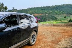 Bán farm nghỉ dưỡng 5.4ha tại thôn 9,xã đà loan,đức trọng,lâm đồng chỉ 270trsào
