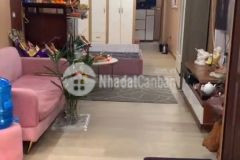 Cực thơm 50 m2 sổ đỏ 2,6 tỷ ô tô đỗ cửa thạch bàn