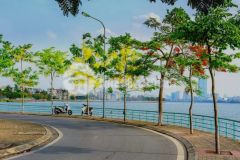 Nhà đẹp dân xây 45m 4t 5n giá chào 10,5tỷ, nội thất sang trọng tây hồ