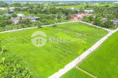 Đất thổ cư tân trụ 150m2 xây dựng tự do 299 triệu