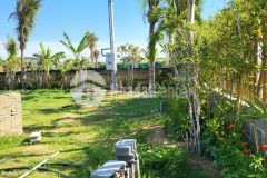 Bán đăt mặt tiền quốc lộ phước dinh thuận nam phan rang nam khánh hòa