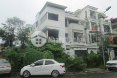 Biệt thự lô góc kđt hà phong gần đh tài chính, vin cổ loa 255m2 chỉ 20 tỷ. lh 0989626116