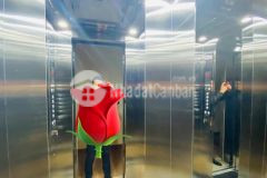 Bán nhà kim mã ba đình mặt ngõ thông ôtô đỗ cửa 50m 6t thang máy nở hậu cho thuê