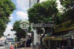 Chợ gò vấp mt huỳnh khương an, p5, gò vấp.