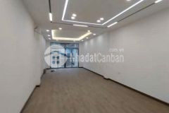 Bán nhà phân lô kim đồng 7 tầng thang máy long lanh hoàng mai