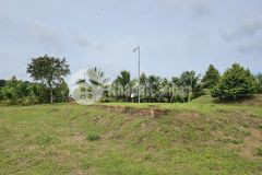 Bán 1500m2 đất nhơn trạch, đồng nai chỉ 8 triệum2 làm biệt thự nhà vườn