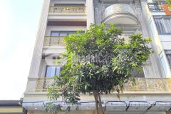 Nhà đẹp nội thất xịn đường to ngõ phố nguyễn thời trung dt 56m2. giá 17.8 tỷ