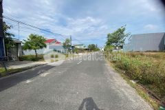 Đất đầu tư hot sinh lợi nhuận vàng 2025