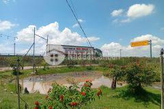 Bán trang trại tặng homstay tại xã phước trung phan rang nam khánh hòa