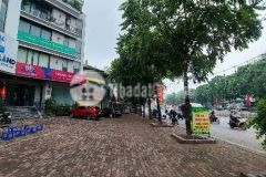 Bán nhà mặt phố trần khát chân, 155m2 4t, mt 8m, 105 tỷ 0987104878