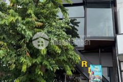 Cho thuê nhà mặt tiền bờ hồ huỳnh cương ngang hơn 4m giá dưới 20 triệu