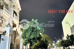 Bán biệt thự cao cấp khu dân cư hưng phú 1 gần siêu thị go giá 18 tỷ