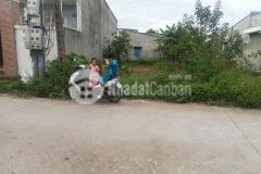 111.6m2 thổ cư xã đức hòa đông, đức hòa giá 1,3 tỷ