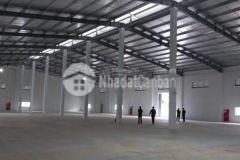 Cho thuê nhà xưởng 1000m² trong kcn hòa cầm sẵn pccc, giá chỉ 55km²