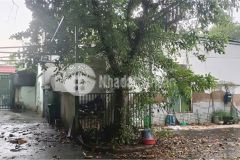 Bán nhà vườn 701m2 vuông vức siêu đẹp ở kdc hiệp bình chánh thủ đức