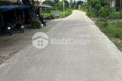 18220m2 đất 617m2 thổ cư khu quy hoạch chuyển đổi skc xã lộc giang, đức hòa giá 13,5 tỷ