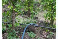 Cần bán gấp đất 2000m2 xã thanh sơn định quán tỉnh đồng nai 350 triệu