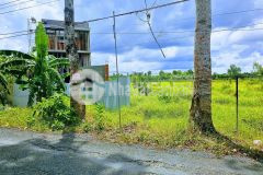 Bán miếng đất 1.208m2 có 160m2 thổ cư mặt tiền lộ cái chanh đông phú, châu thành, cần thơ.