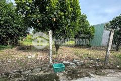Bán đất diên lạc giá rẻ phù hợp làm nhà sân vườn cách tỉnh lộ 2 chỉ 400m