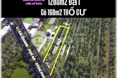 Bán 1.208,7m² đất lúa có 160m² thổ cư mặt tiền lộ cái chanh, đông phú, tp. cần thơ