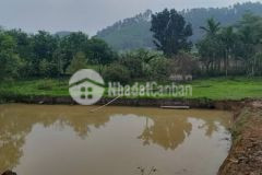 Hơn 5 tỷ xíu có hơn 1000m2 đất cả trong sổ và ngoài sổ, trong đất có ao, phía sau view cánh đồng