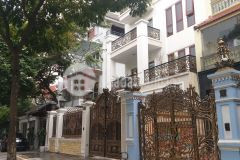 Bán biệt thự phố lâm du long biên, lô góc 3 thoáng ô tô mt 15m 230m2 42 tỷ