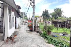 Cần tiền xử lý công việc nên bán nhà vườn lài, phường an phú đông q.12 cũ, giá thấp hơn thị trường