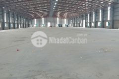 Cho thuê kho, xưởng 2.500m2 tại yên mỹ. hưng yên