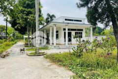 Đất 3 mặt tiền đường bàu lách xã phạm văn cội dt 5079m2 có 1406m2 thổ cư giá 25,4 tỷ