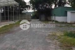 Bán kho xưởng mặt tiền đường bến đình, xã an nhơn tây, củ chi