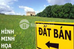 Bán đất trồng cây lâu năm xã tân an hội, h. củ chi, hồ chí minh