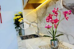 Nhà đẹp ở liền tân hoà đông q6 2pn 2wc shr