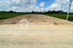 Ra gấp lô đất 260m2 gần ubnd xã long hoà long an giá 21trm2, shr