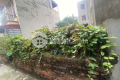 Cực ngon đất gia quất 50 m2 nhỉnh 7 tỷ sổ đỏ chót