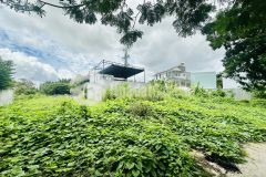 Bán đất biệt thự đơn lập sadeco phước kiển view công viên, ngang khủng 12m gần trường rmit