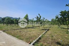 Đât re f0 gân đương hcm tai yên thuy, hoa binh gia 285tr 177m mt 5m