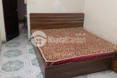 Tt hồng mai hai bà trưng rộng rãi thoáng sáng