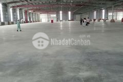 Cho thuê nhà xưởng tại kcn vsip từ sơn. bắc ninh