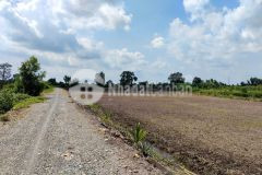 Bán đất vườn mặt tiền kênh ở thù thừa tổng dt 13.309m2 giá 7,8 tỷ