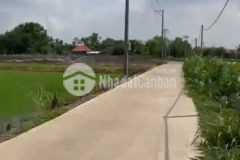 Bán đất đường beton, có điện 3 pha xã an ninh tây tổng dt 3700m2 483m2 thổ giá 2,8 tỷ