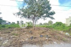 Chủ gửi bá.n nền 100m² đường số 6 kdc đông phú, châu thành, tp. cần thơ lh 0939 961 661 thịnh