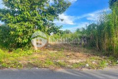 Bán nền đẹp 100m2 trục chính a2 kdc tân phú cái răng cần thơ