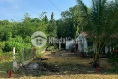 Cần bán lô đất mặt tiền đường nhựa long hòa long an vị trí mặt tiền đường long hòa,