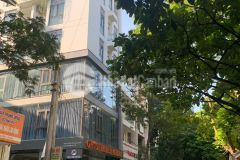 Bán nhà mặt phố phạm thận duật, cầu giấy 60m x5t 2 mặt đường trước sau rộng thông hoàng quốc việt