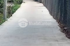 Bán nhanh lô đất tl826 10m x 20m long hòa cần đước, long an shr xây dựng tự do 21 triệum2